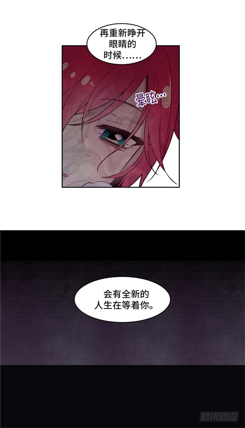 大师维她 19-第146话