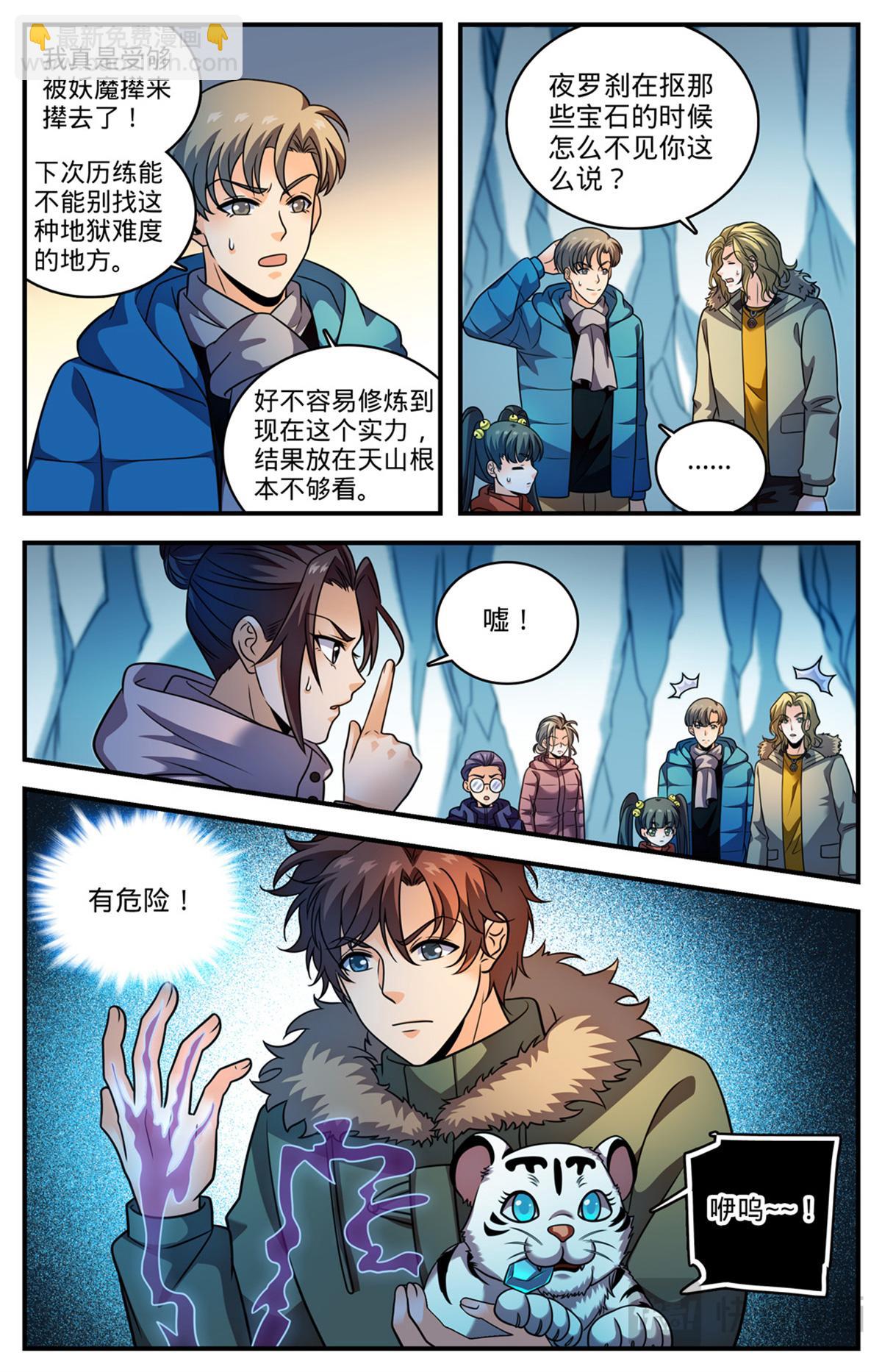 🍛全职法师 1078 天痕白虎 第9页