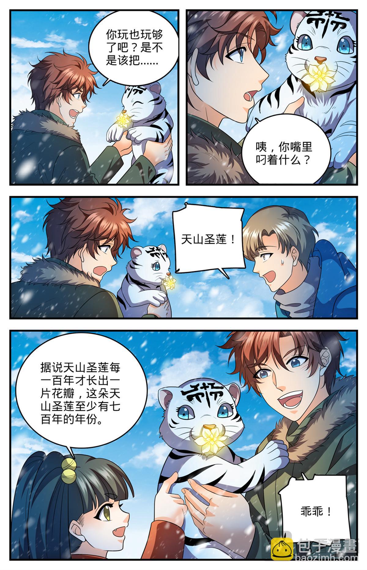 🍛全职法师 1088 七百年天山圣莲 第11页