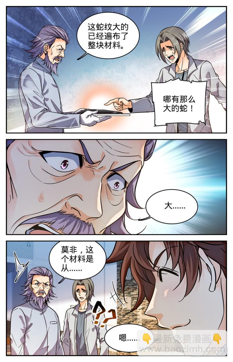 🍛全职法师 第298话 蛇鳞很垃圾？ 第12页