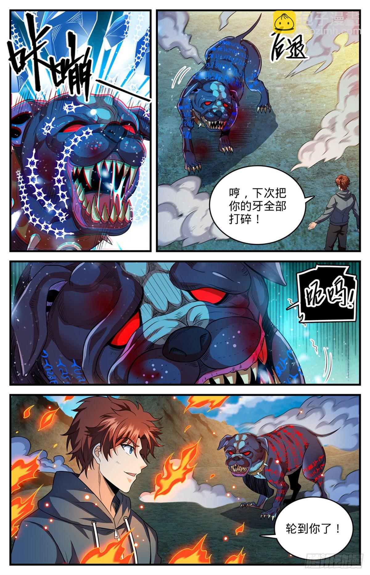 🍛全职法师 808 大败犬男 第5页