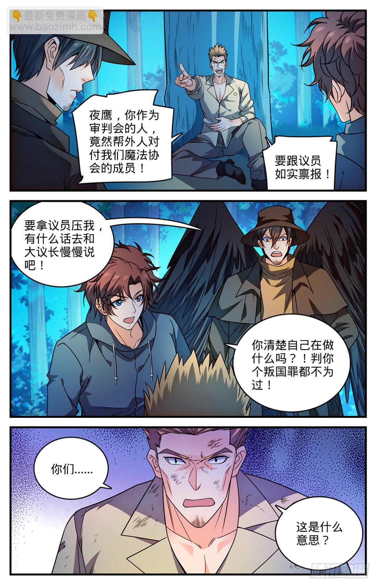🍛全职法师 812 让你人仗狗势！ 第12页