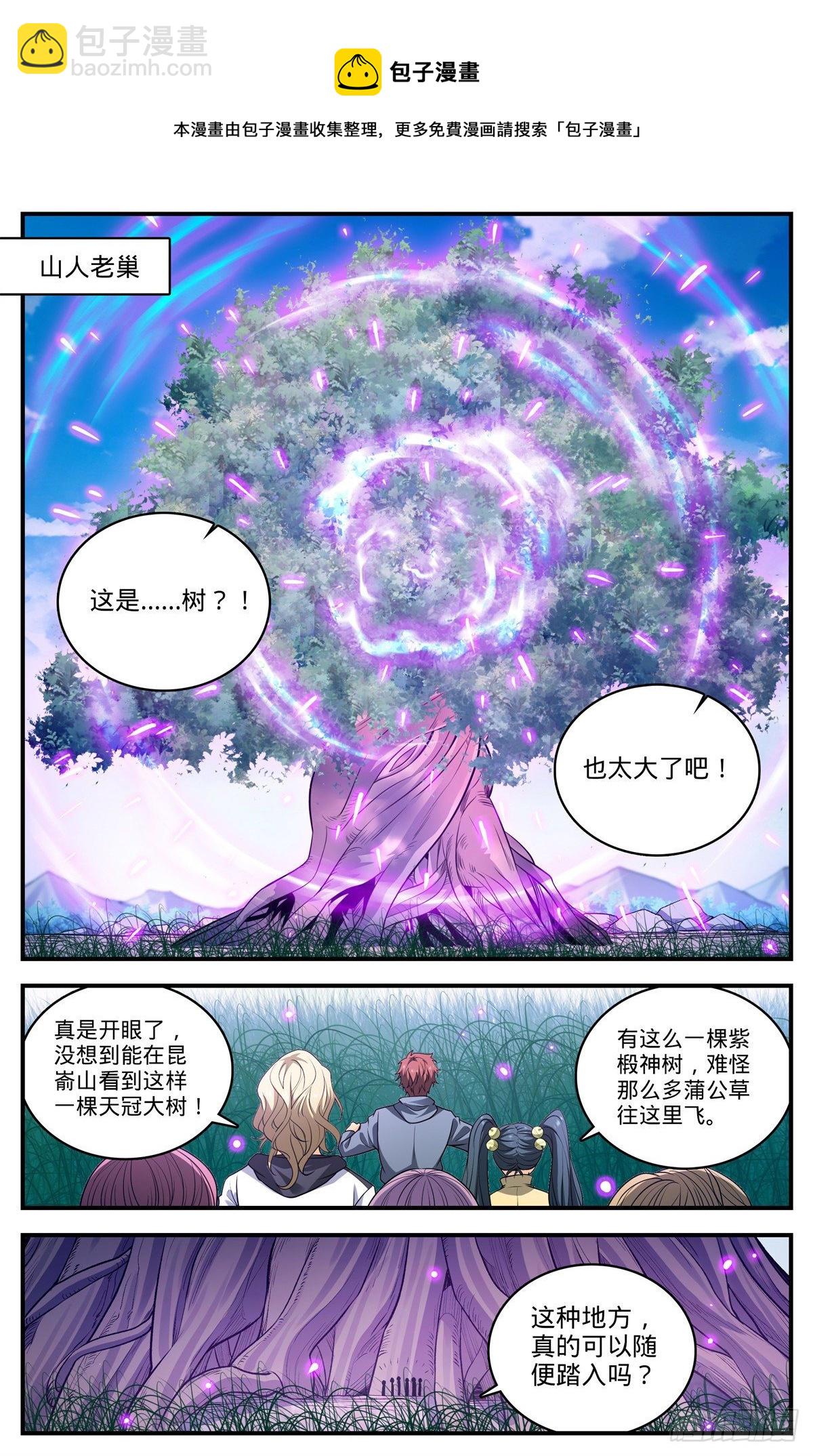🍛全职法师 822 天冠紫椴树 第11页