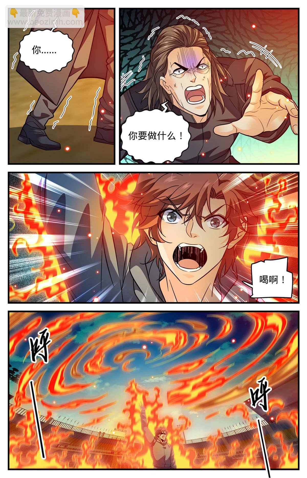 🍛全职法师 836 讨回公道 第11页