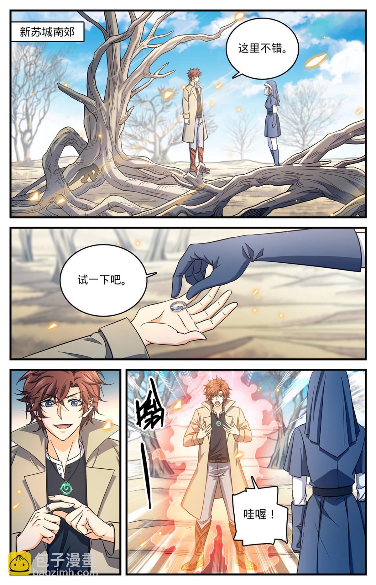 🍛全职法师 910 魔媒戒 第11页
