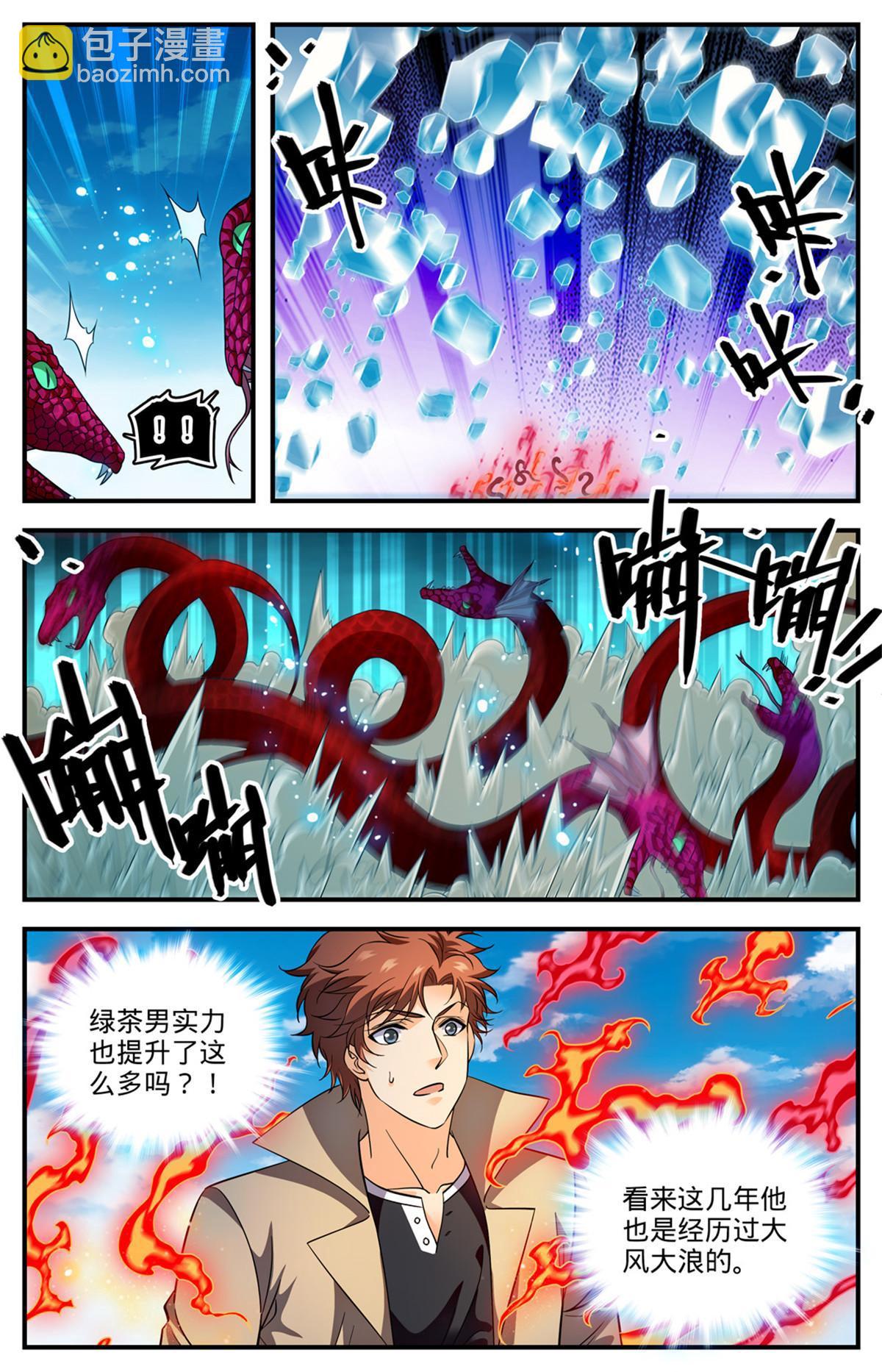 🍛全职法师 920 暴冰尘 第3页