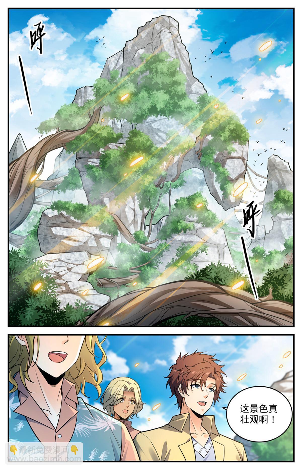 🍛全职法师 980 云界天层 第4页