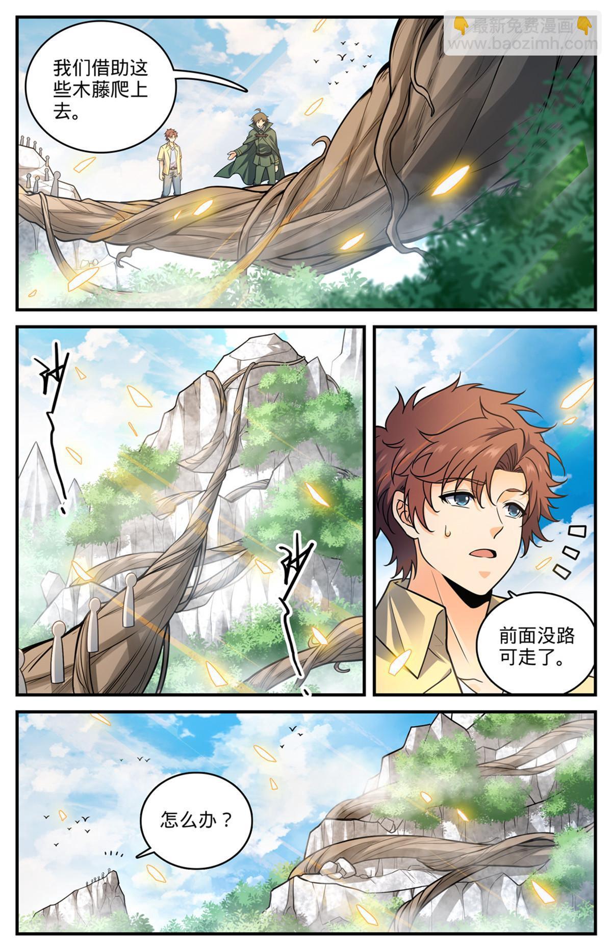 🍛全职法师 980 云界天层 第8页