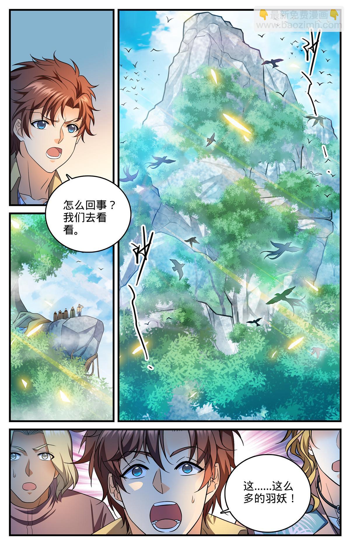 🍛全职法师 982 救的人是老熟人 第10页