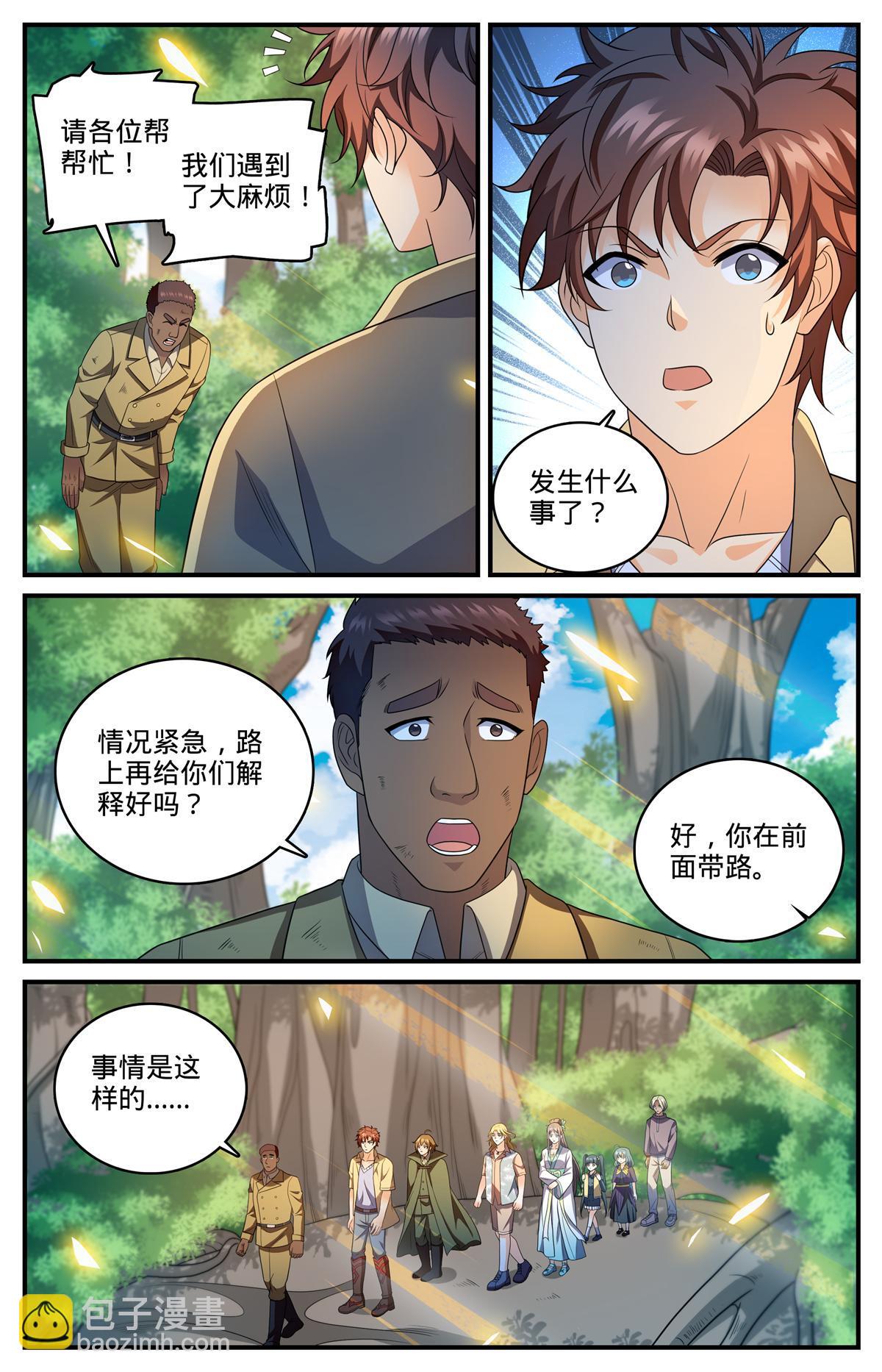 🍛全职法师 982 救的人是老熟人 第2页