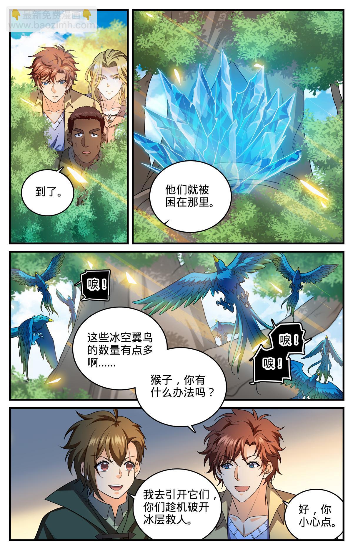 🍛全职法师 982 救的人是老熟人 第4页