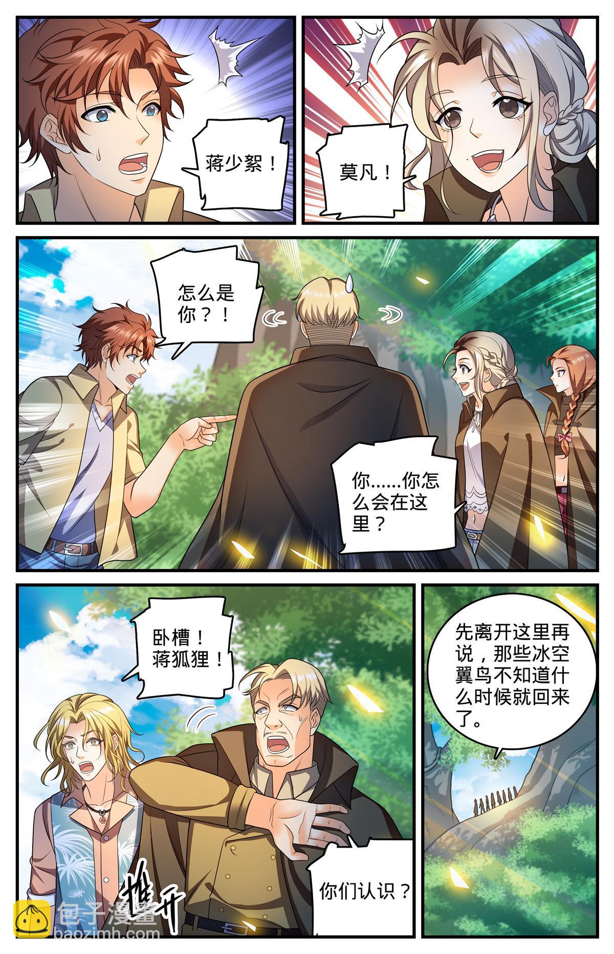 🍛全职法师 982 救的人是老熟人 第8页