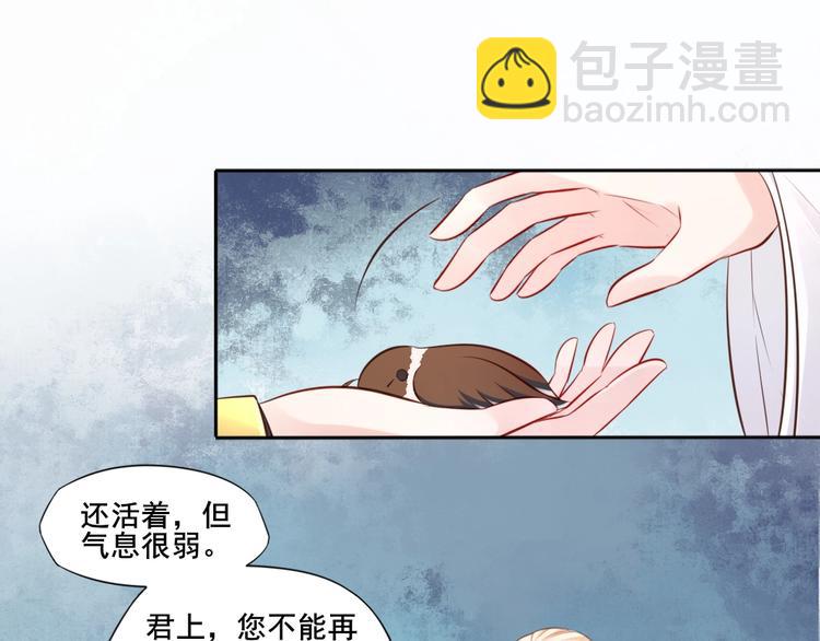 🍛雀桥仙 第37话 受伤 第37页