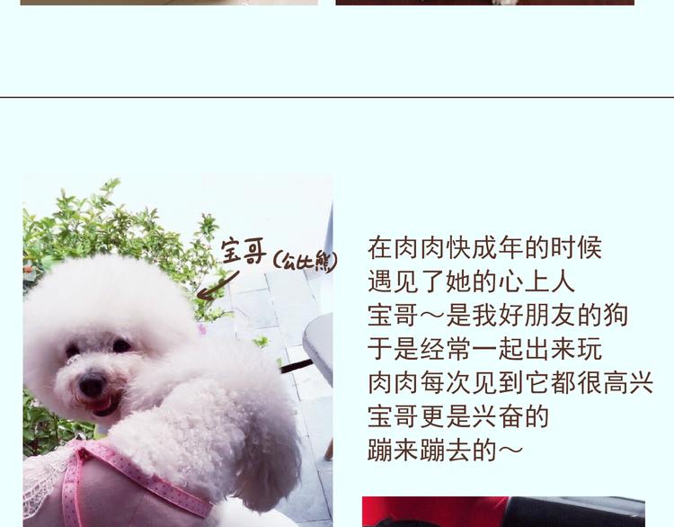 🍤热狗奶茶 番外 萌萌三小只的日常 第18页