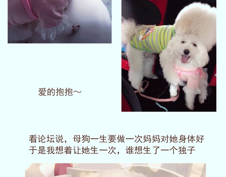 🍤热狗奶茶 番外 萌萌三小只的日常 第19页