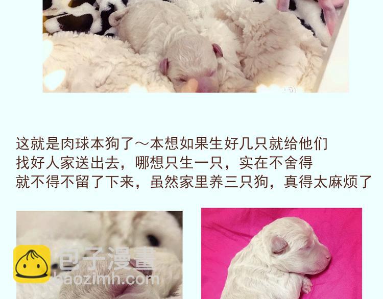 🍤热狗奶茶 番外 萌萌三小只的日常 第21页
