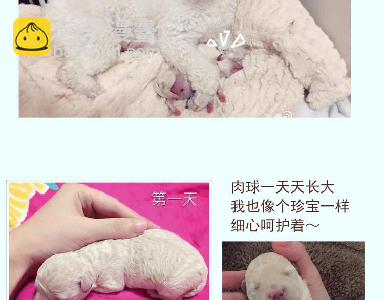 🍤热狗奶茶 番外 萌萌三小只的日常 第23页
