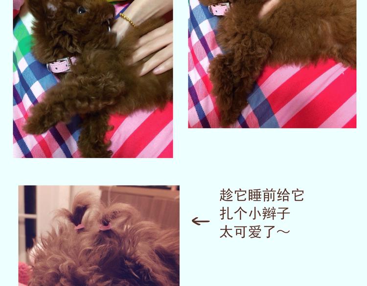 🍤热狗奶茶 番外 萌萌三小只的日常 第3页
