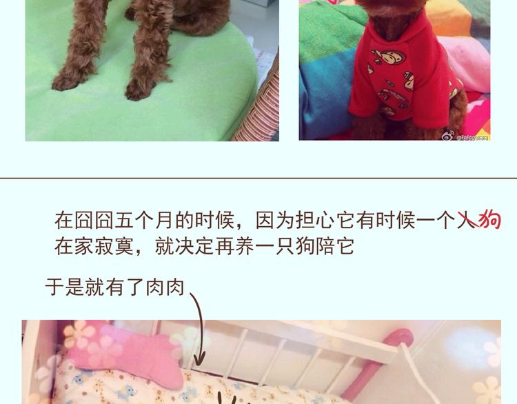 🍤热狗奶茶 番外 萌萌三小只的日常 第6页
