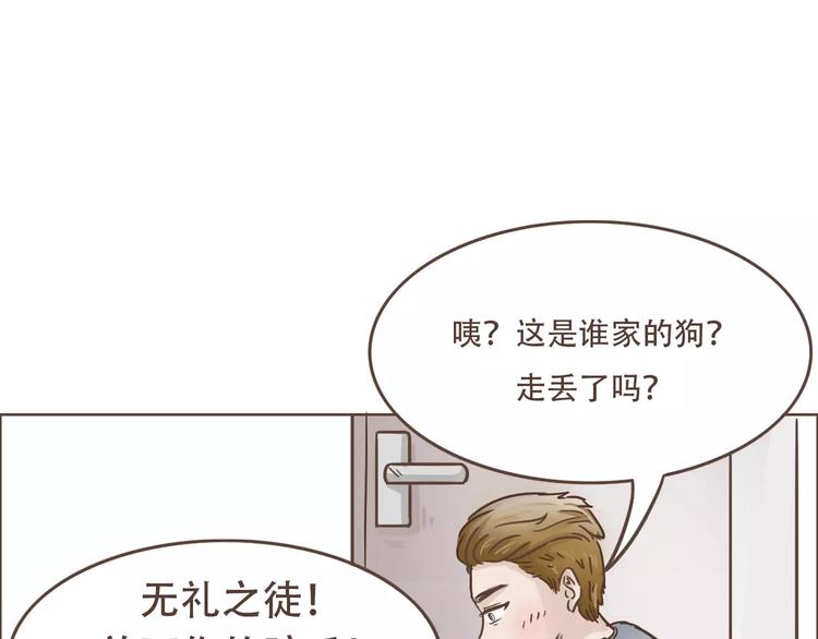 🍤热狗奶茶 第19话 狗国王子现身 第25页