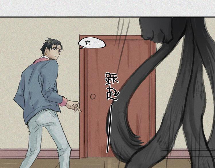 第19话-猫妖篇：猫妖现世(1/2)-第26话