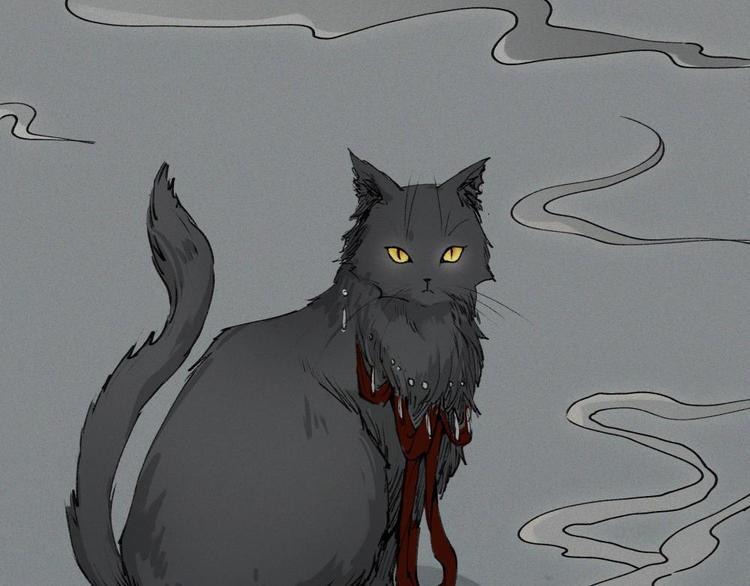 第21话-猫妖篇：猫的修行(1/2)-第28话