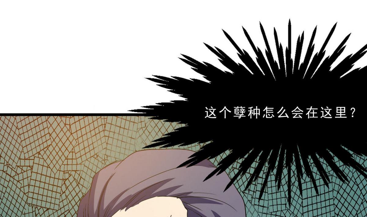 第63话 报仇的机会-第64话