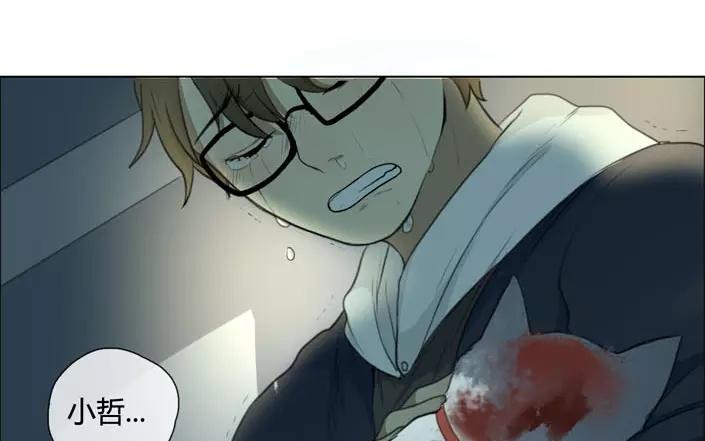 第20话  纯洁的灵魂（下）(1/2)-第18话