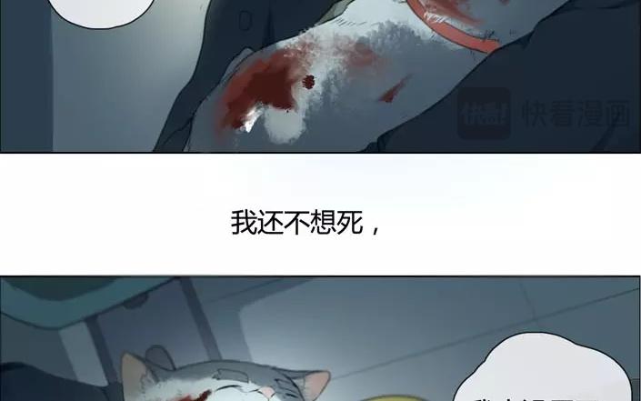 第20话  纯洁的灵魂（下）(1/2)-第18话