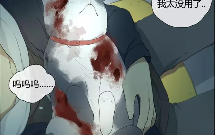 第20话  纯洁的灵魂（下）(1/2)-第18话