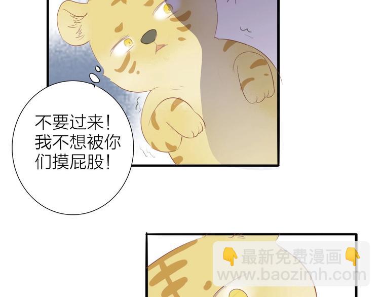 虎虎小剧场-第58话