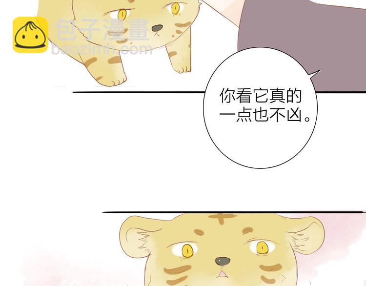 虎虎小剧场-第58话