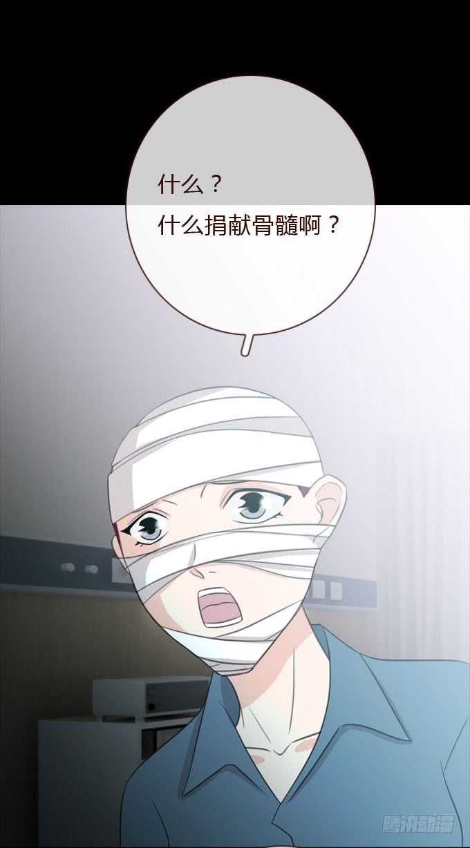 第三季：整容-第74话