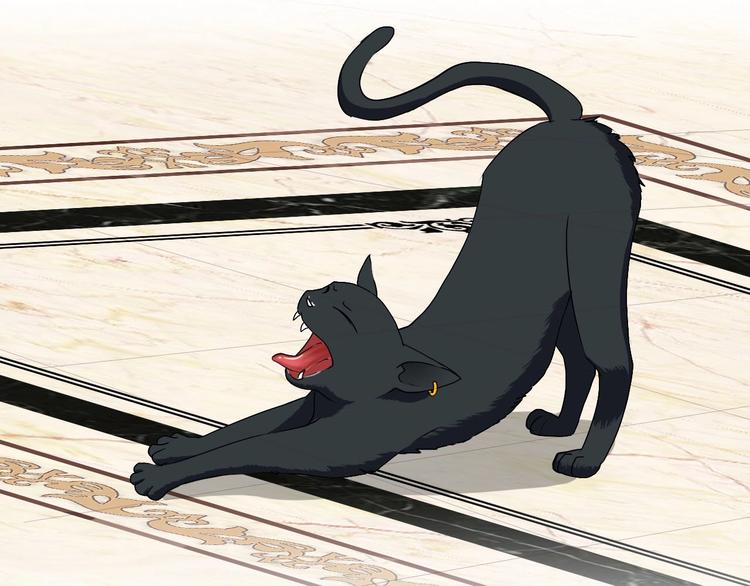 第16话 妖猫现身-第16话