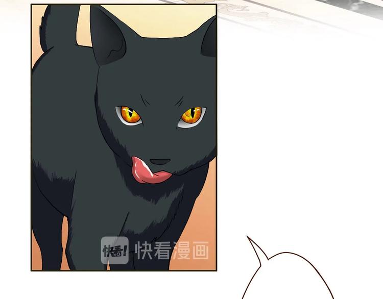 第16话 妖猫现身-第16话