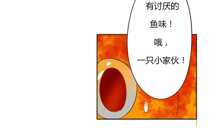 第16话 妖猫现身-第16话