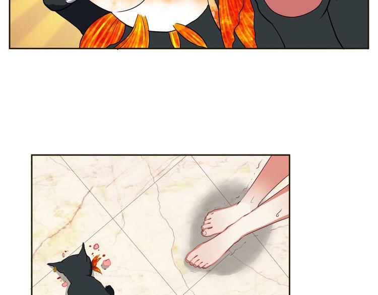 第16话 妖猫现身-第16话