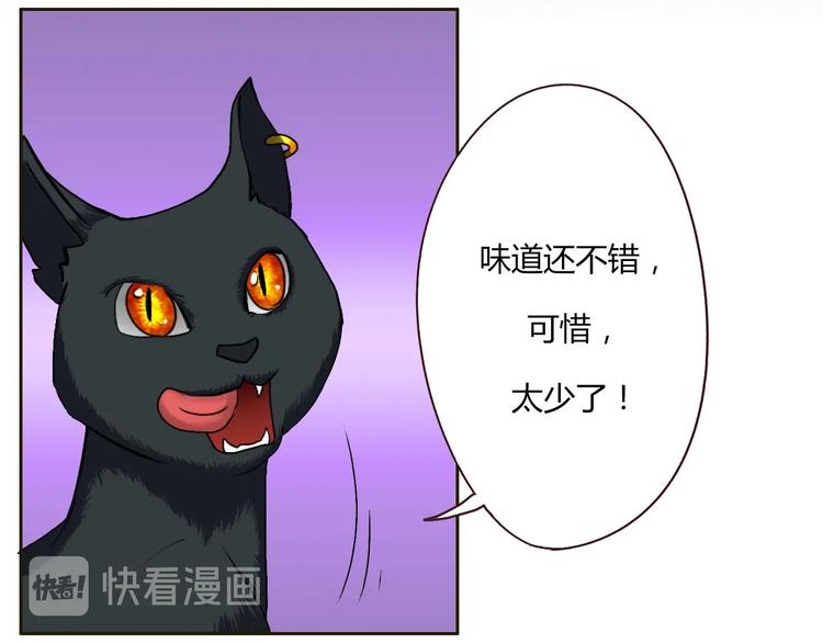 第16话 妖猫现身-第16话