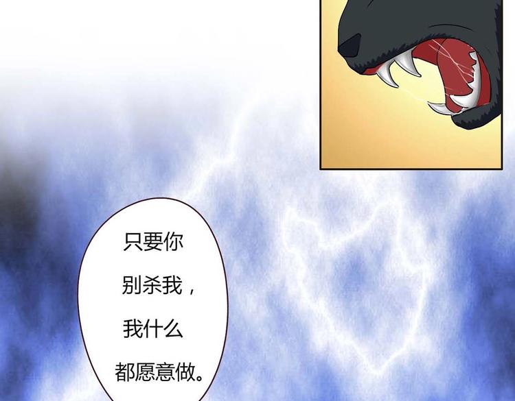 第16话 妖猫现身-第16话