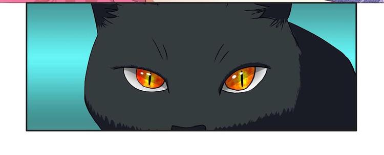 第16话 妖猫现身-第16话