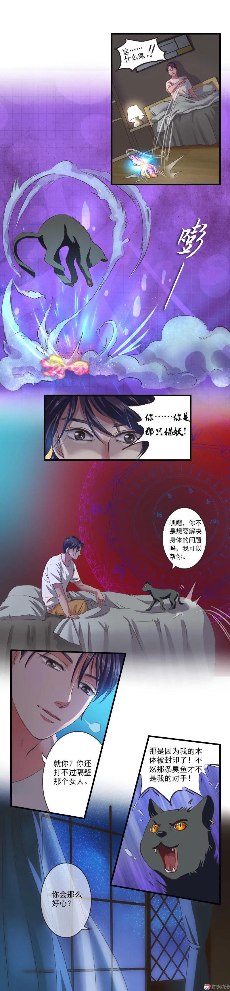 第50话 猫妖的诱惑-第50话