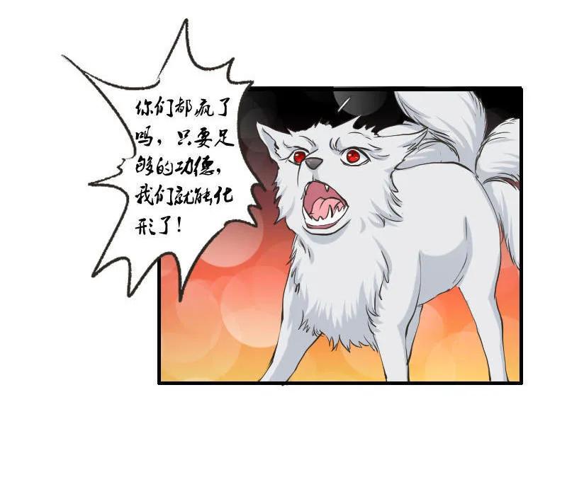 第97话 龙珠显现-第96话