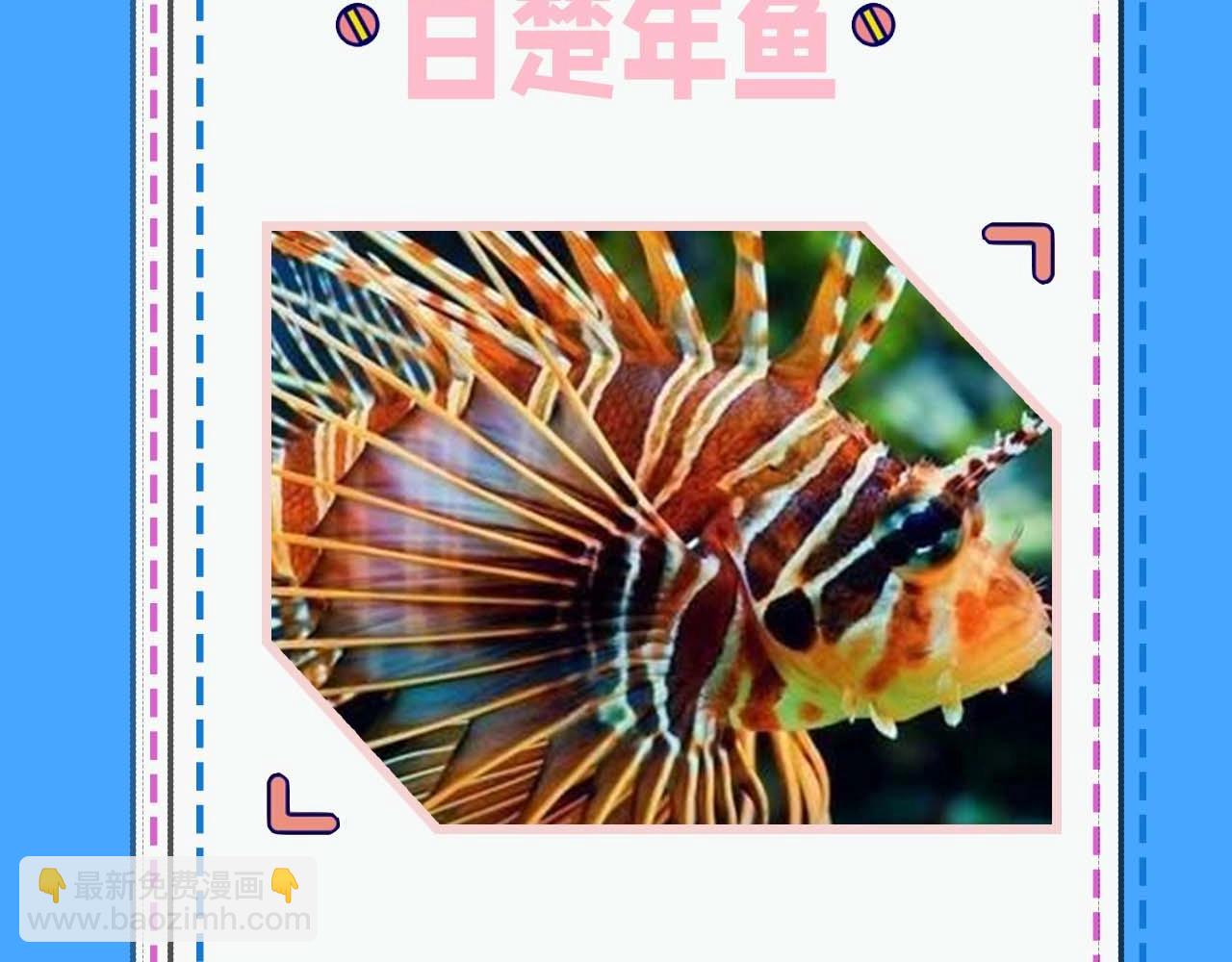 第52期 人鱼陷落的主角都是什么品种的鱼（日更中）-第122话