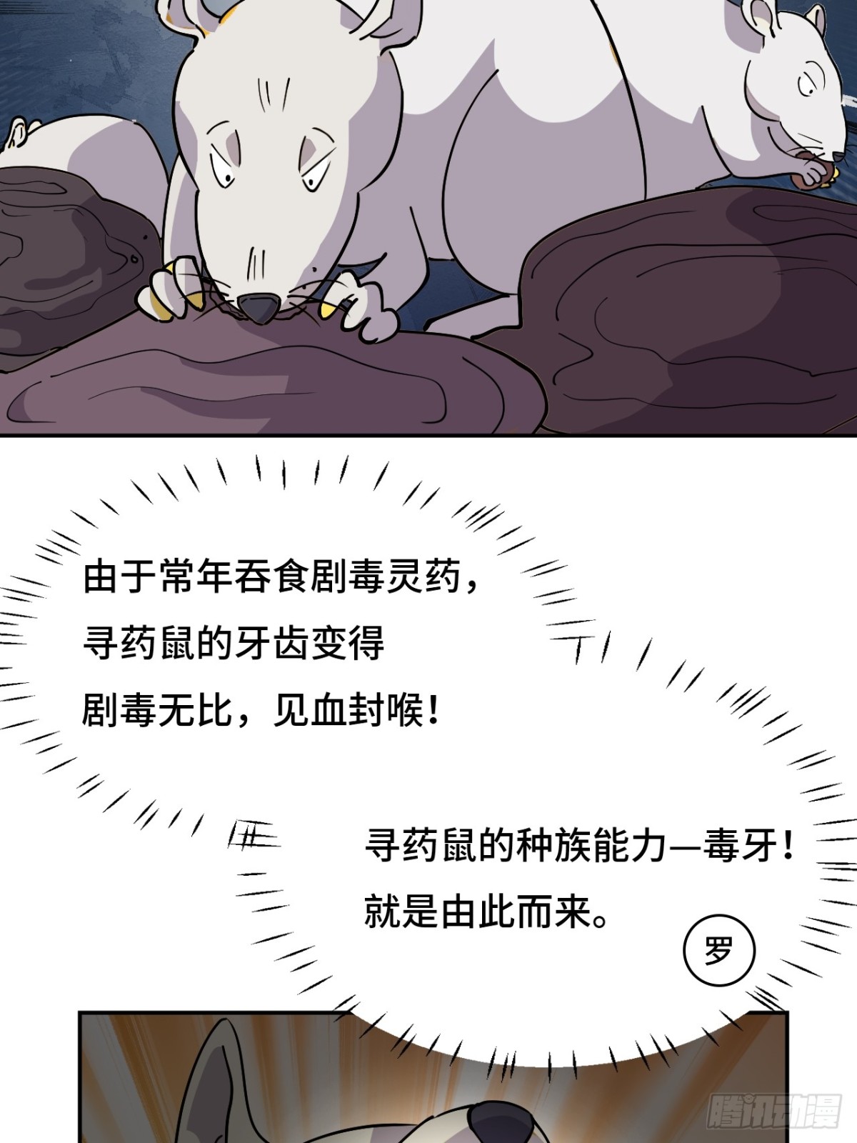 68寻寻药鼠-第68话
