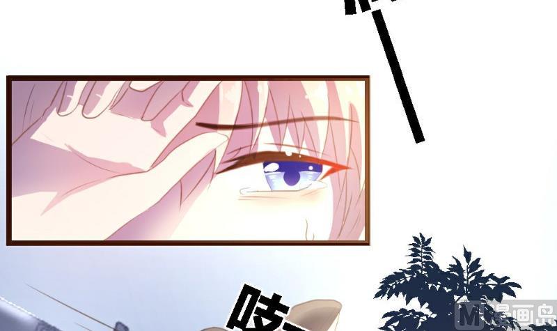 第2话(1/2)-第2话