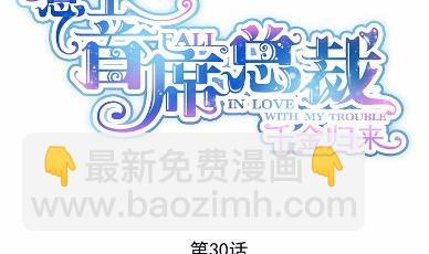 30(1/2)-第30话