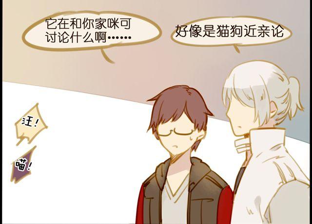 晚上的猫比早上更可爱-第44话
