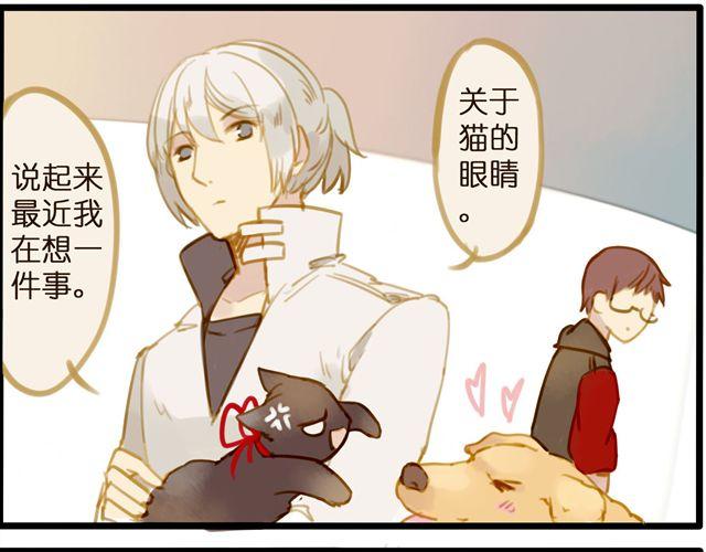 晚上的猫比早上更可爱-第44话