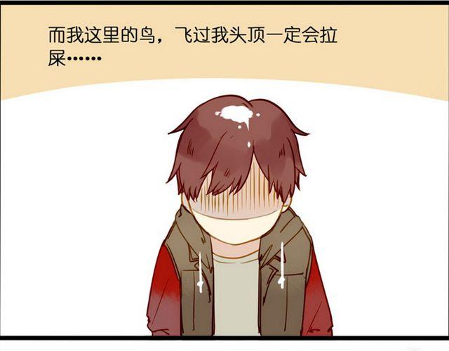 永远都是别人家的-第50话