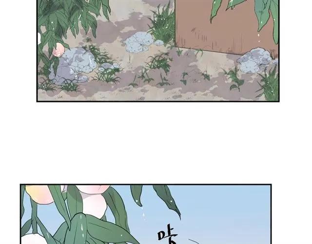 第74话 吃桃(1/2)-第74话